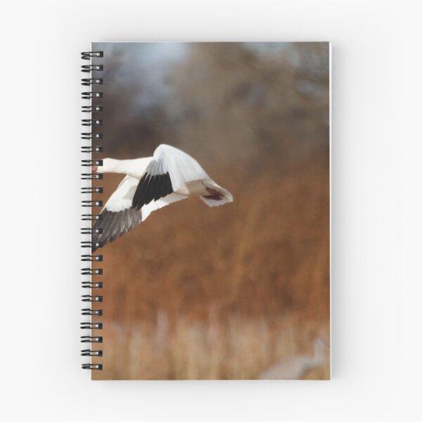 Item preview, Ross's goose on a winter day designed and sold by Ruth Jolly.