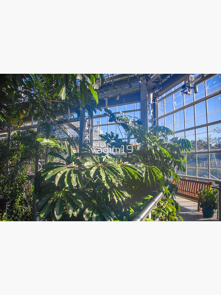 USA. Washington D.C., National Botanical Garden. Tropical Garden. Sticker