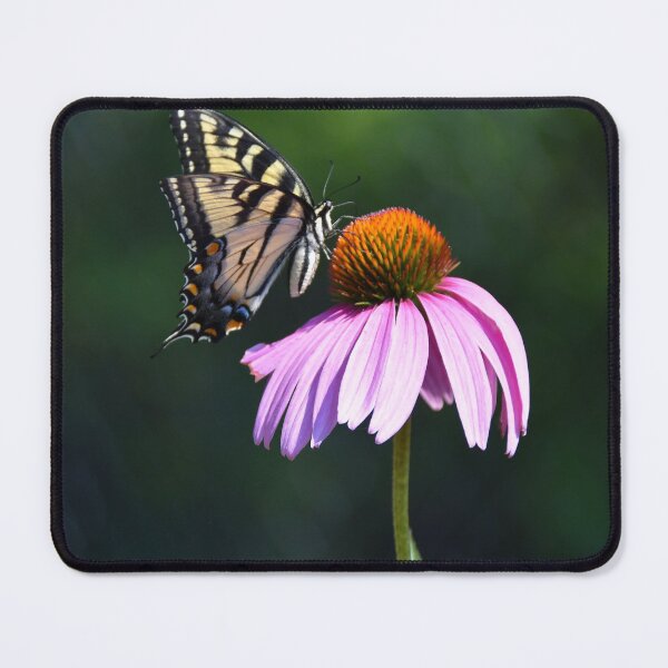 Item preview, Eastern Tiger Swallowtail Butterfly (coneflower) Papilio glaucus designed and sold by Poete100.