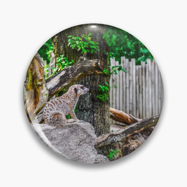 Item preview, Meerkats designed and sold by SzendeB.