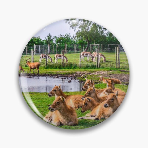 Item preview, Antelopes designed and sold by SzendeB.