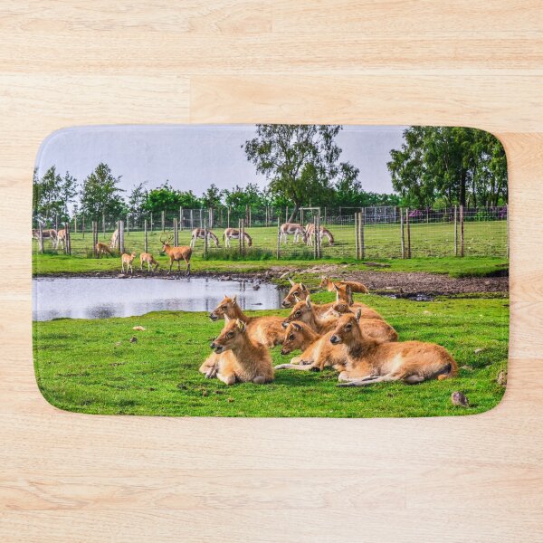 Item preview, Antelopes designed and sold by SzendeB.