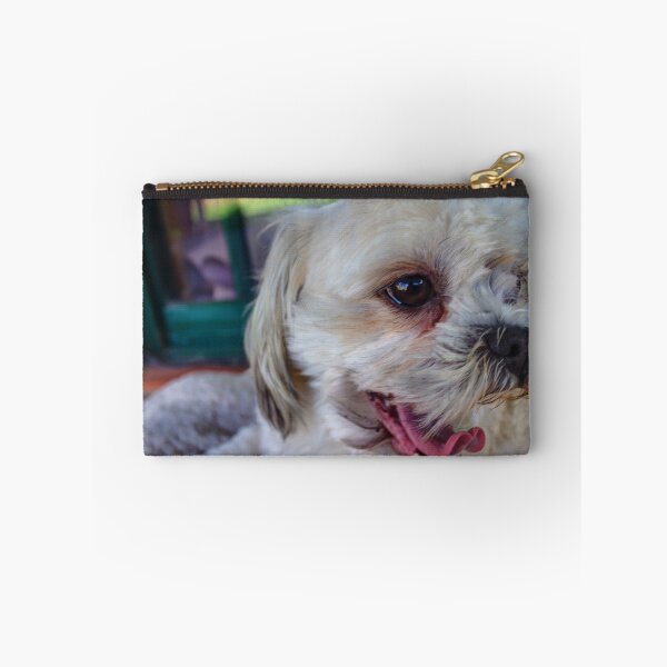 Item preview, Maltese-shitzu designed and sold by shaynetwright.