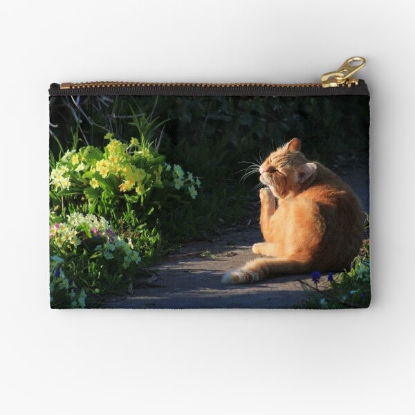 Ginger cat in garden at evening time Zipper Pouch