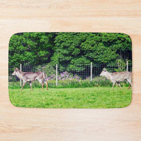 Item preview, Life in the forest designed and sold by SzendeB.