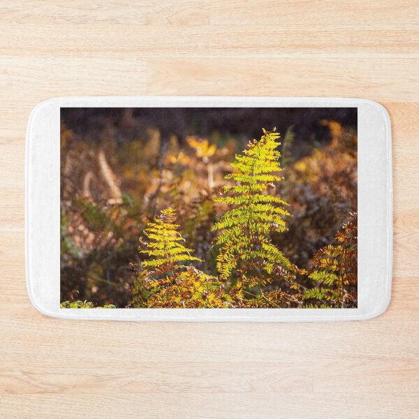 Item preview, Enjoying the last green ferns designed and sold by jchanders.