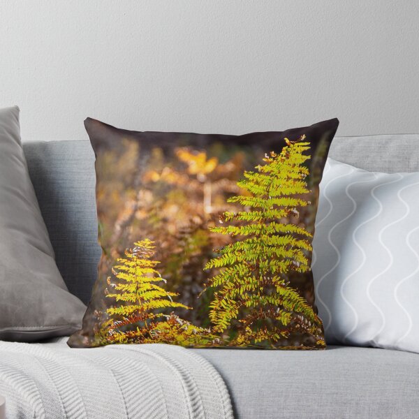 Item preview, Enjoying the last green ferns designed and sold by jchanders.