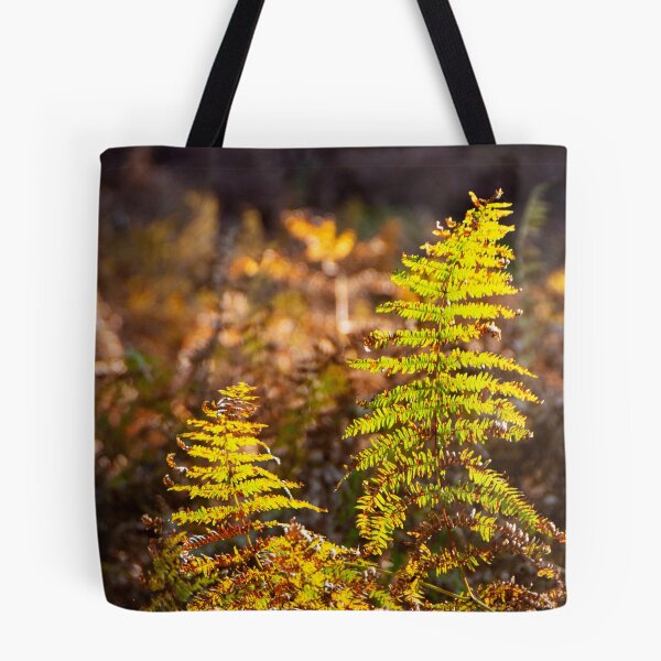 Item preview, Enjoying the last green ferns designed and sold by jchanders.