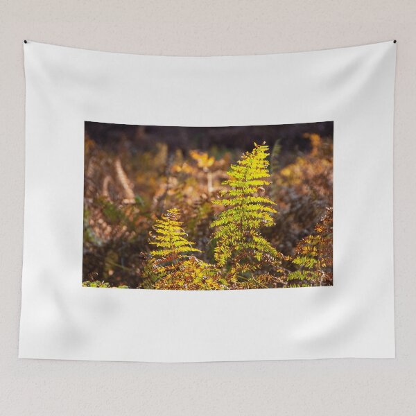 Item preview, Enjoying the last green ferns designed and sold by jchanders.