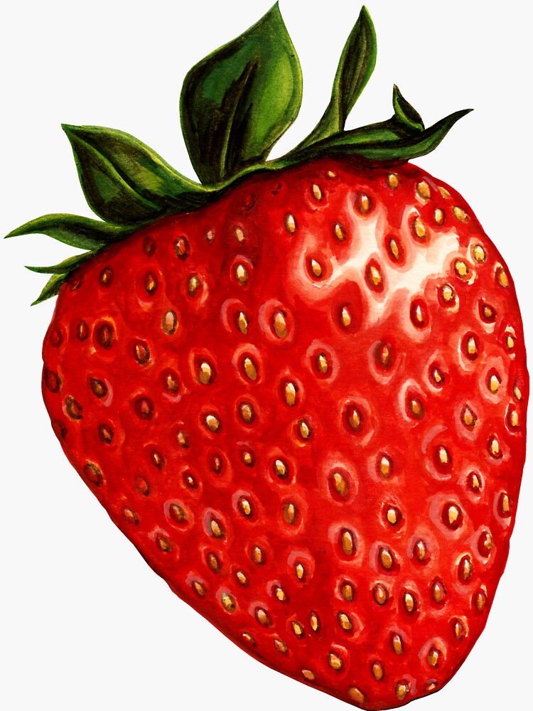Strawberry Sticker – Kelly Renay
