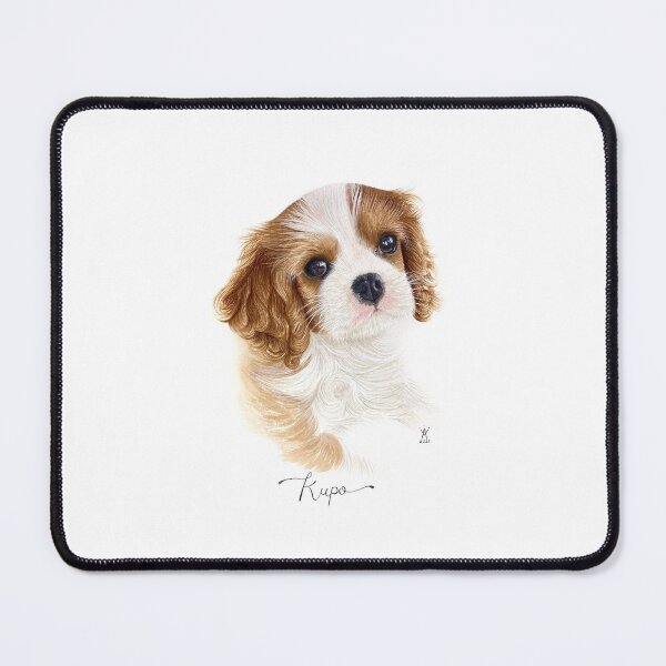 Item preview, KupoTV Baby Cavalier by Amandine's Art designed and sold by KupoXV.