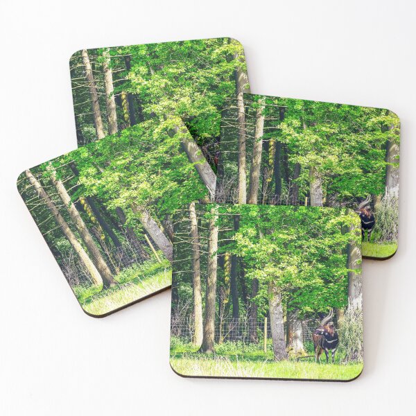 Item preview, Life in the forest designed and sold by SzendeB.