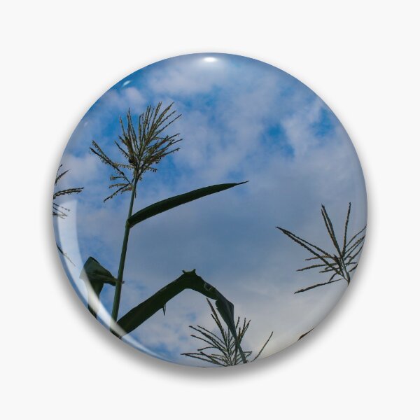 Item preview, Tassel corns opposite the semi-cloudy sky designed and sold by Mahirov Shop.