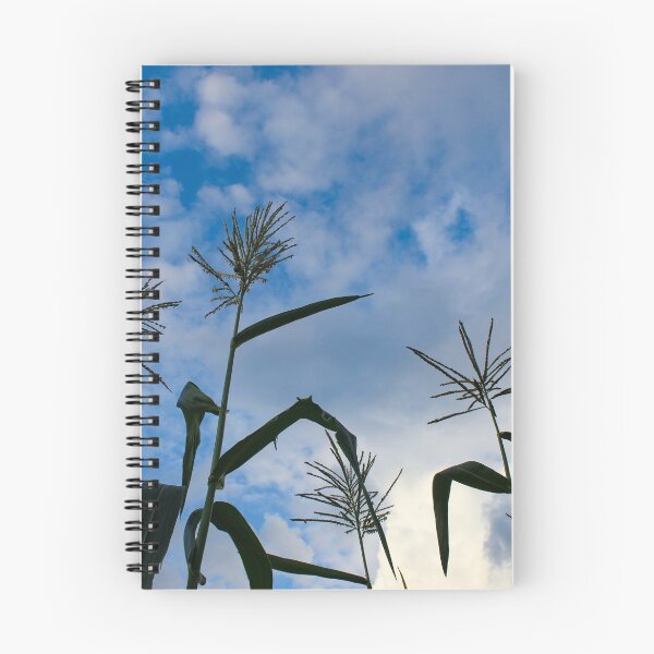 Item preview, Tassel corns opposite the semi-cloudy sky designed and sold by Mahirov Shop.