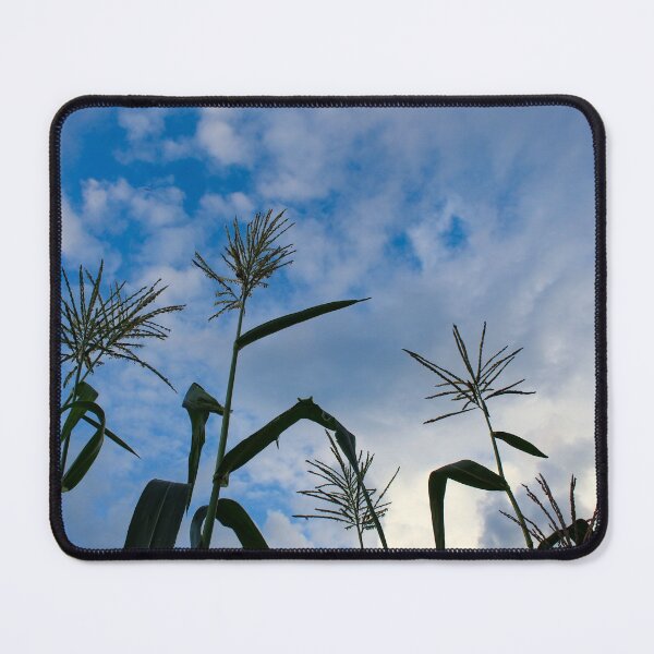 Item preview, Tassel corns opposite the semi-cloudy sky designed and sold by Mahirov Shop.