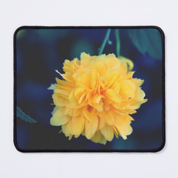 Item preview, Yellow Flower - Photography designed and sold by greatnorris.
