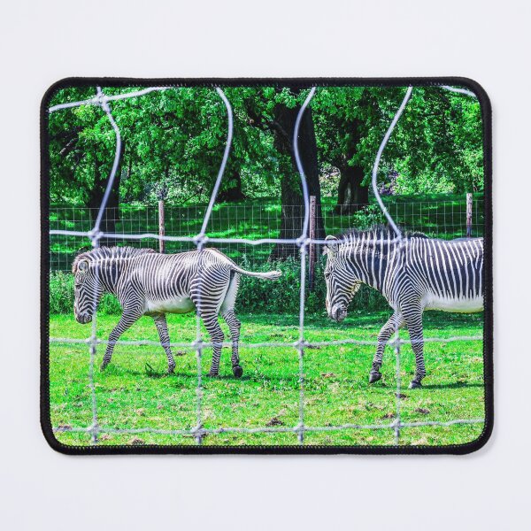 Item preview, Zebra connection designed and sold by SzendeB.