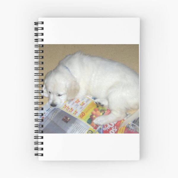 Aperçu de l'œuvre Un chiot dort sur un magazine créée et vendue par AriannaCreates.