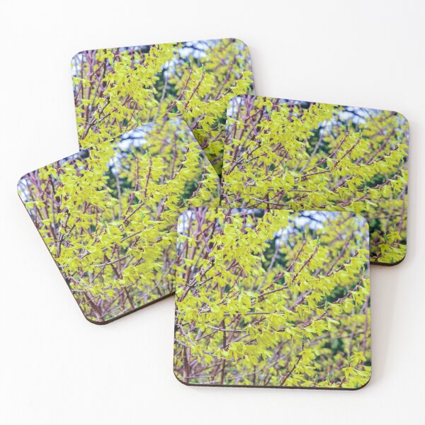 Item preview, Forsythia designed and sold by SzendeB.