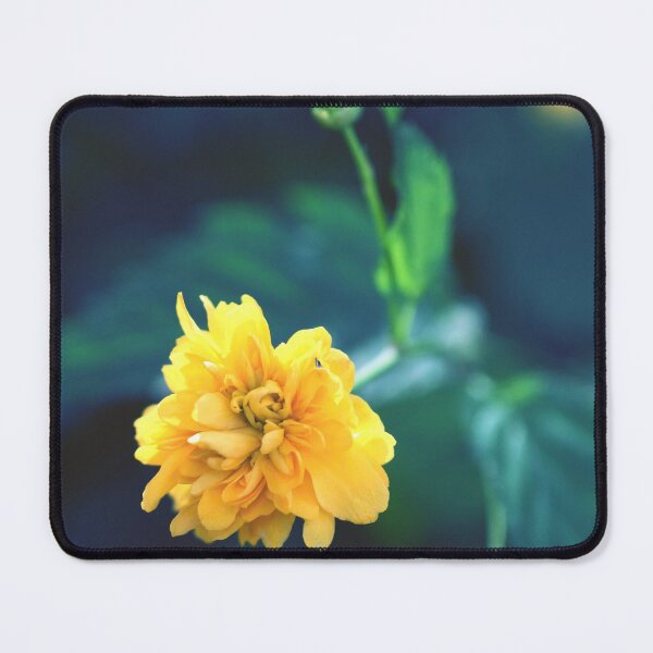 Item preview, Yellow Flower - Photography designed and sold by greatnorris.