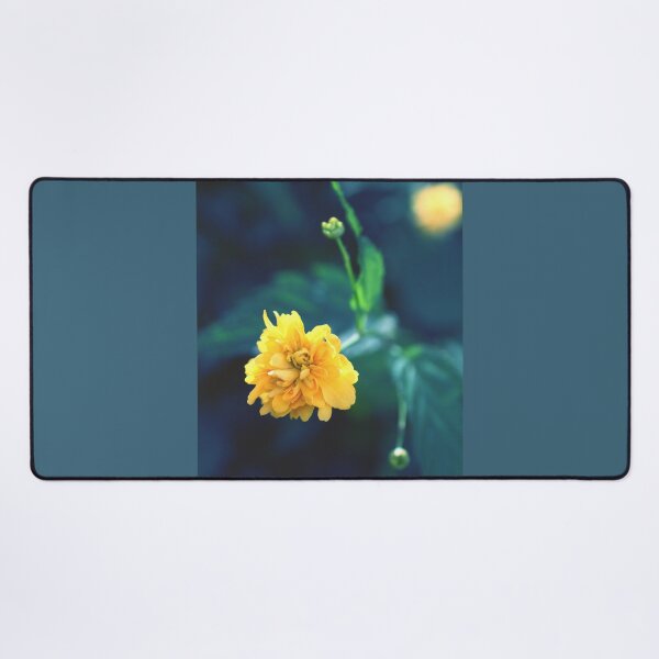 Item preview, Yellow Flower - Photography designed and sold by greatnorris.