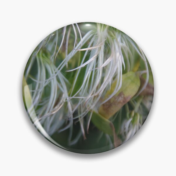 Item preview, Seed Heads At Point Peron, Rockingham, WA designed and sold by lezvee.