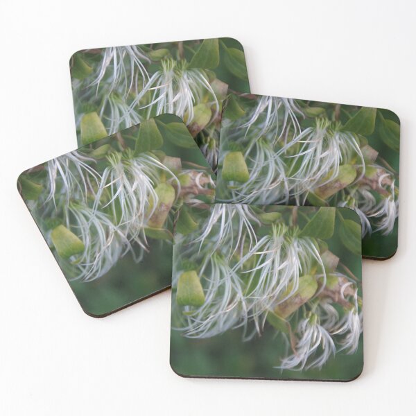 Item preview, Seed Heads At Point Peron, Rockingham, WA designed and sold by lezvee.