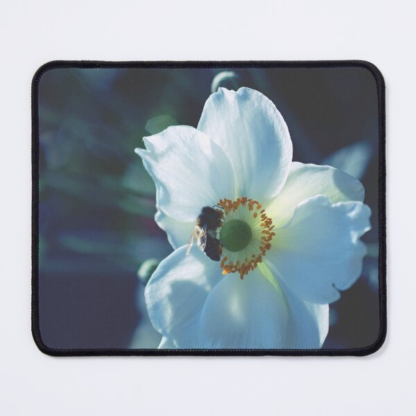 Item preview, More White Flowers with Bee - Photography designed and sold by greatnorris.