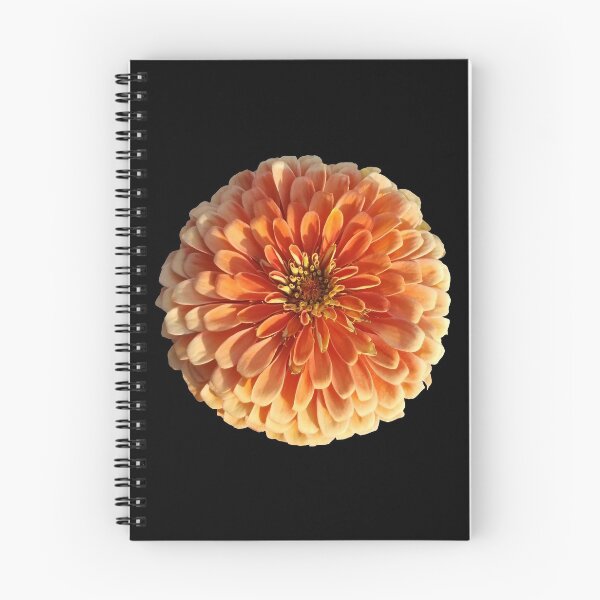 Item preview, Field Guide to Zinnias, No. 4, El Dorado Peachy Orange Flower designed and sold by Kristi Duggins.