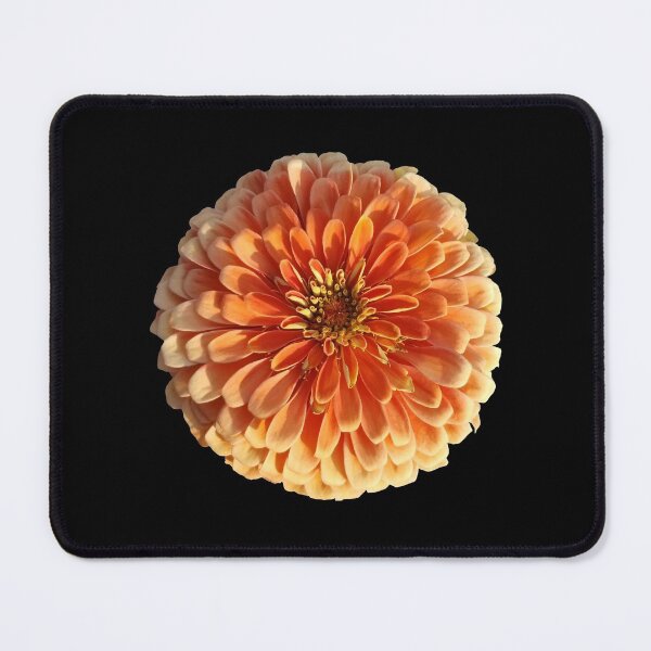 Item preview, Field Guide to Zinnias, No. 4, El Dorado Peachy Orange Flower designed and sold by Kristi Duggins.