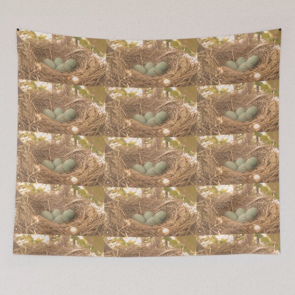 Item preview, Robin's Eggs designed and sold by Rachael Burriss.