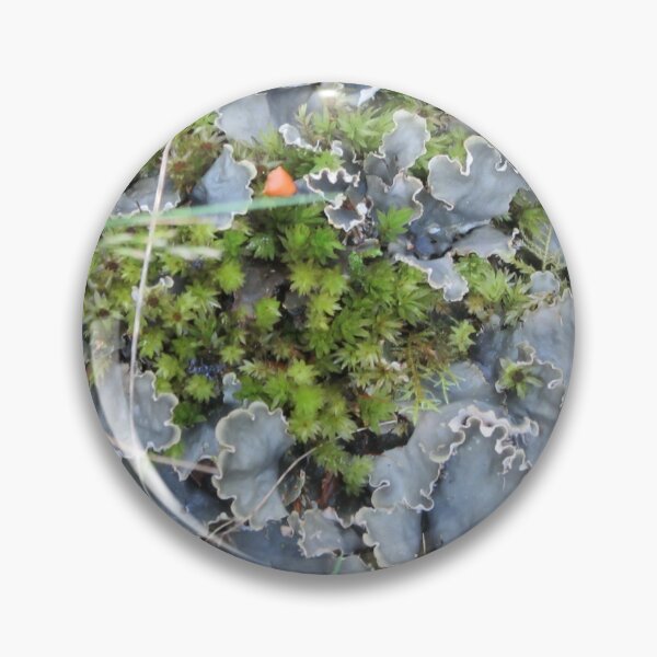 Item preview, Frilly Fungus And Moss designed and sold by lezvee.