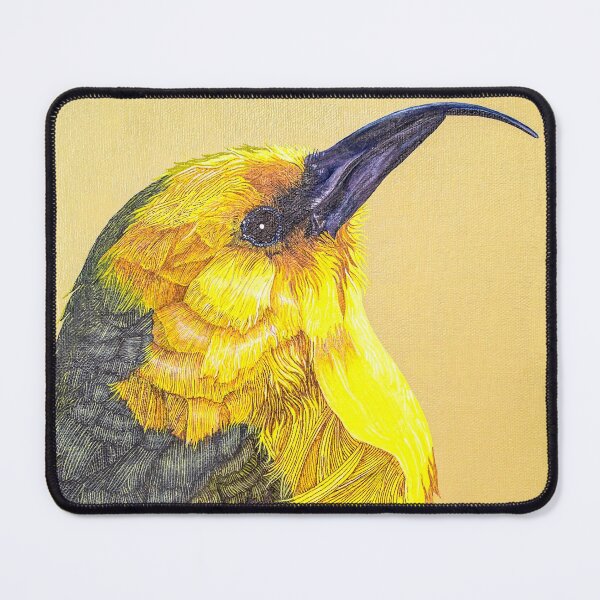 Critically Endangered Hawaiian Akiapola’au Mouse Pad