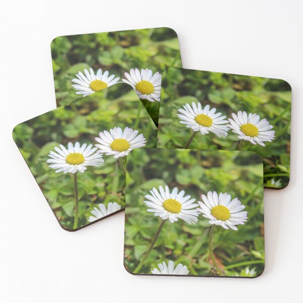Item preview, Two daisies on the lawn designed and sold by Mahirov Shop.