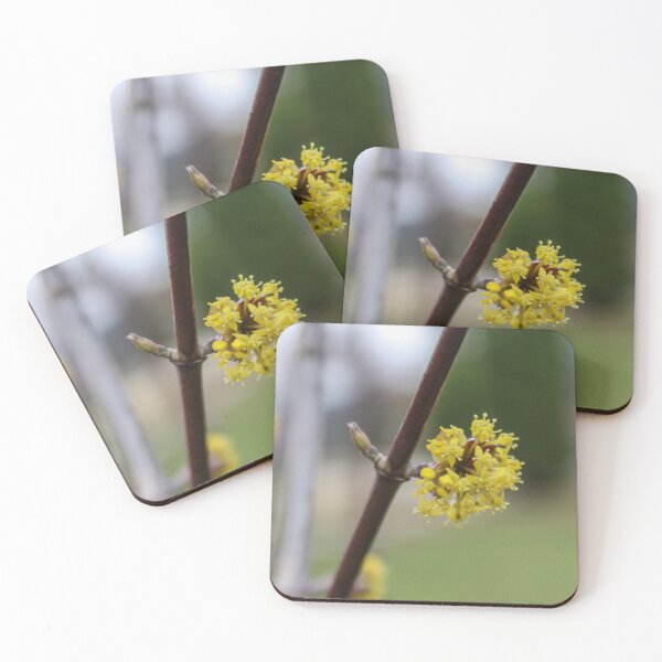 Item preview, Blooming flowers of Cornelian cherry designed and sold by Mahirov Shop.
