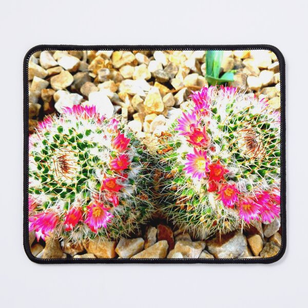 Item preview, Cactus Greetings designed and sold by angel1.