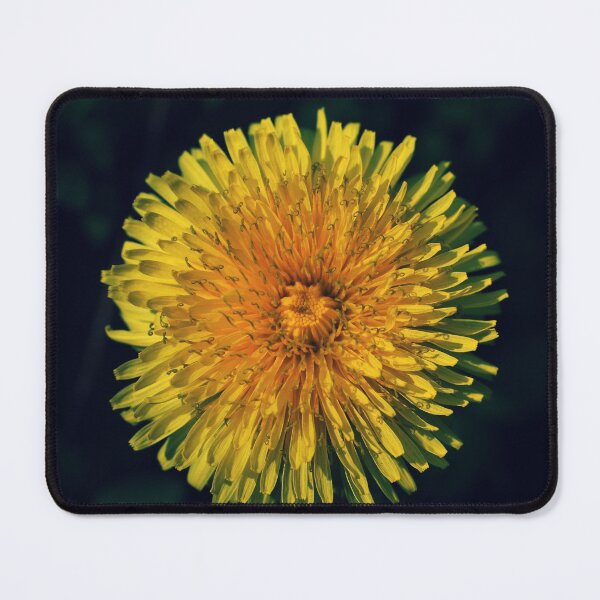 Item preview, Dandelion - Photography designed and sold by greatnorris.