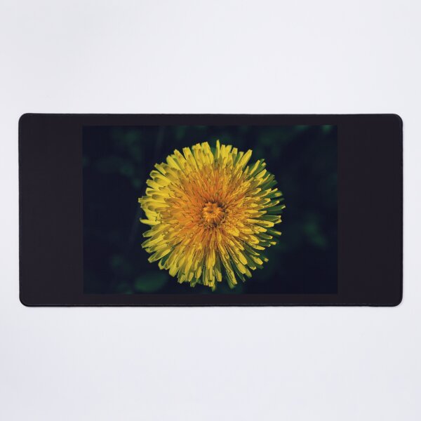 Item preview, Dandelion - Photography designed and sold by greatnorris.
