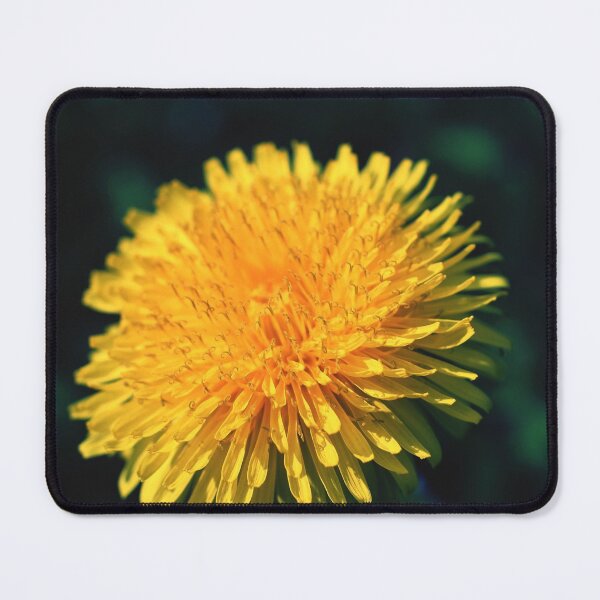 Item preview, Dandelion - photography designed and sold by greatnorris.