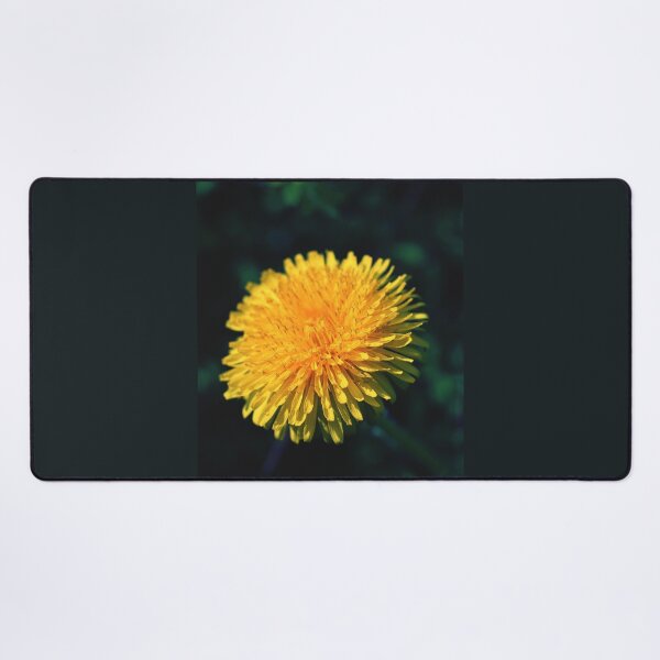 Item preview, Dandelion - photography designed and sold by greatnorris.