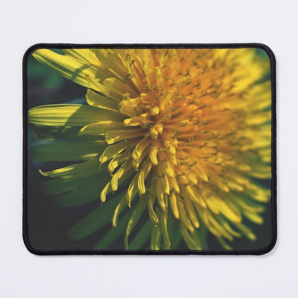 Item preview, Dandelion - photography designed and sold by greatnorris.