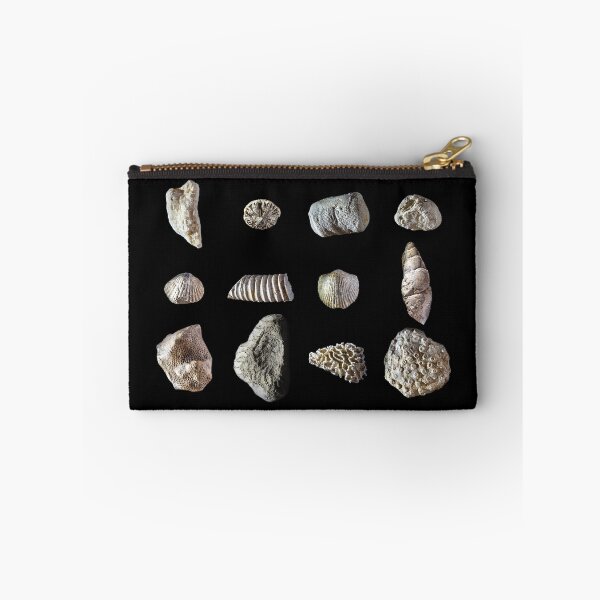 Item preview, Paleozoic marine fossils from Ordovician and Silurian periods designed and sold by MarisG.
