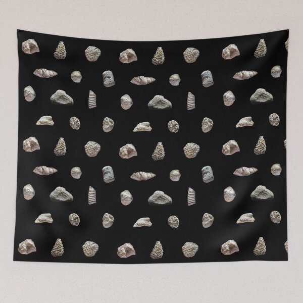 Item preview, Paleozoic marine fossils from Ordovician and Silurian periods designed and sold by MarisG.