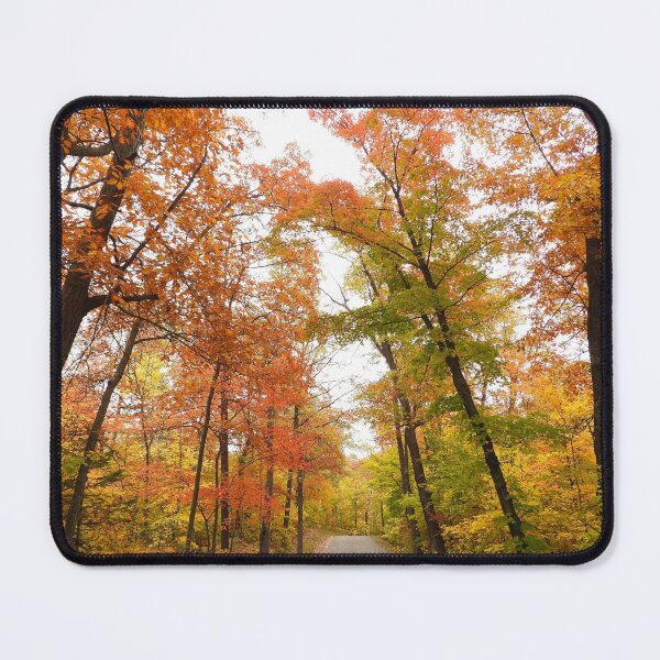 Item preview, Itasca State Park on September 25, 2020 designed and sold by Debbie Center.