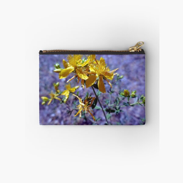 Artikelvorschau, Saint John's Wort entworfen und verkauft von Chris Gudger.