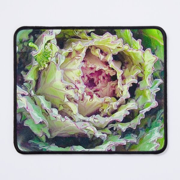 Item preview, Cabbage Rose Photographic Art (1of3) designed and sold by DzineVine.