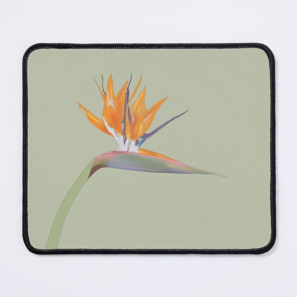 Item preview, Flora II: Bird of Paradise designed and sold by Katjushka.