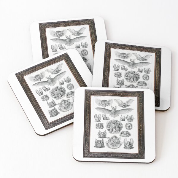 Item preview, Zoological board Bats "Chiroptera" - Zoological designs and zoology boards designed and sold by AdvanceDesign.