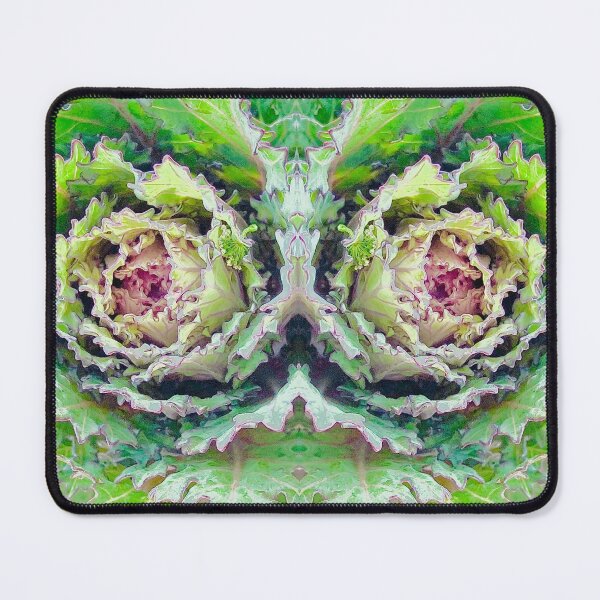 Item preview, Cabbage Rose Photographic Art (2of3) designed and sold by DzineVine.