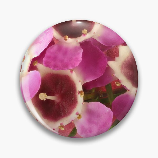 Item preview, Geraldton Wax Bouquet designed and sold by NanaRusty.